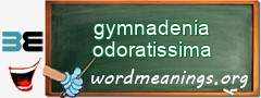 WordMeaning blackboard for gymnadenia odoratissima